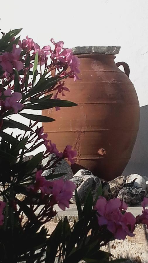 The Windmill Serifos المظهر الخارجي الصورة
